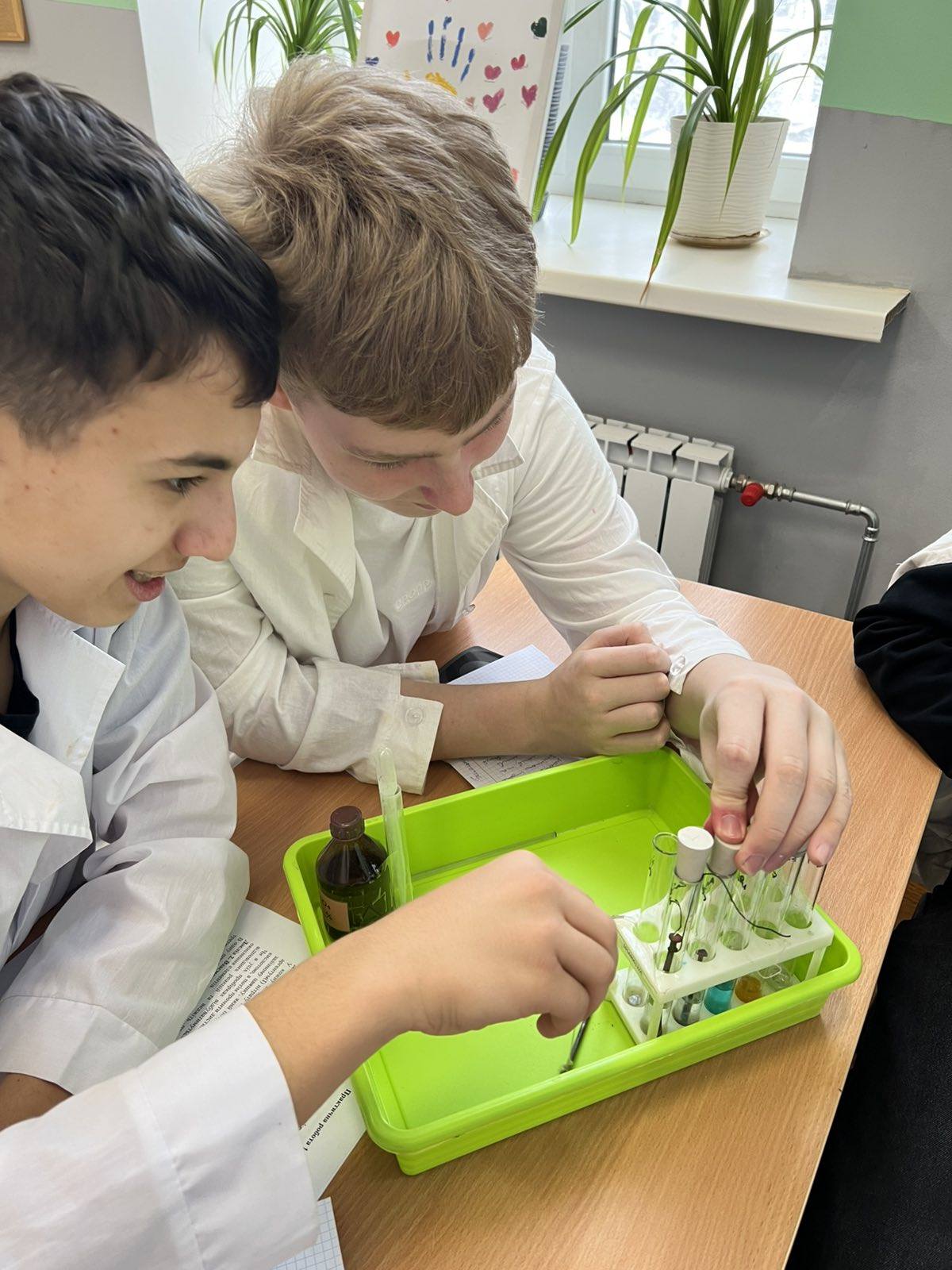 У ліцеї завершилося предметно-профільне занурення